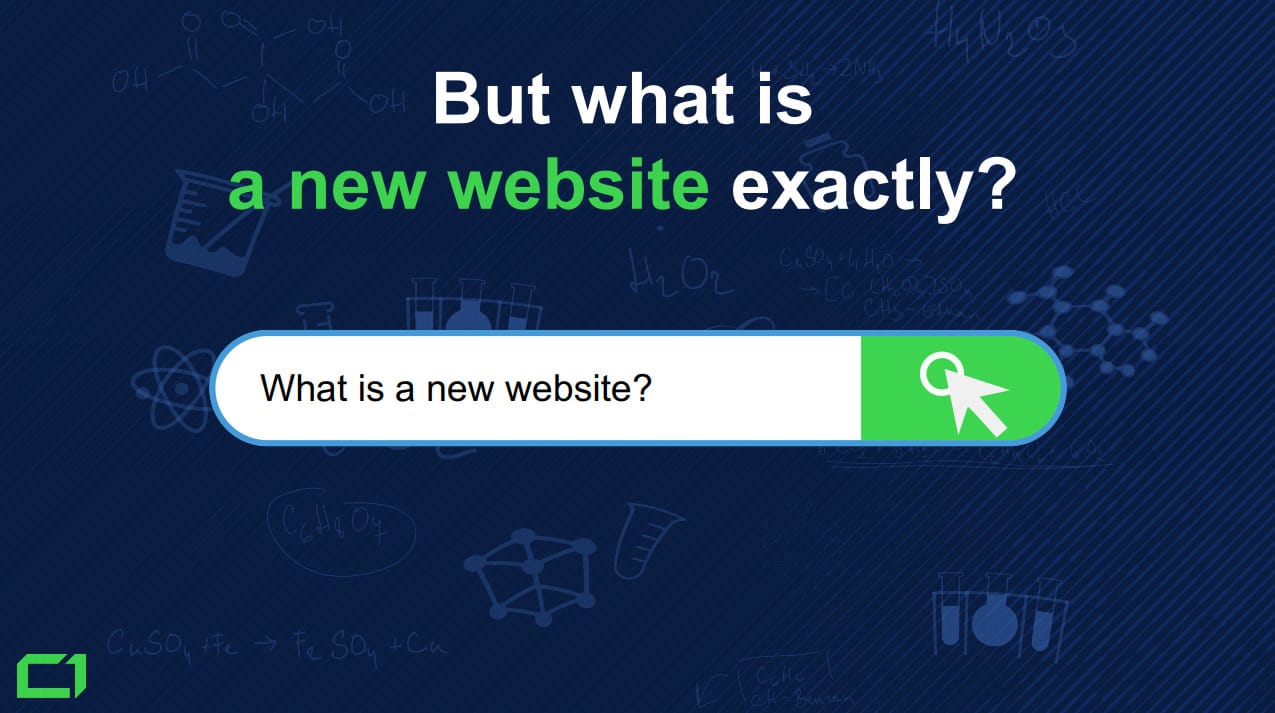 How-Much-Content-is-Not-Indexed-in-Google-in-2019 - 4.-What-is-a-new-website