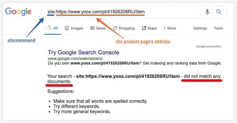 A screenshot showing a Google site: query where a website in question can't be found